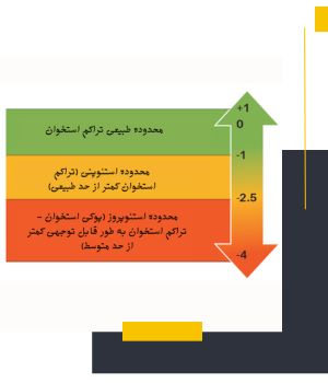 نتایج دانسیتومتری چگونه تفسیر می‌شود؟